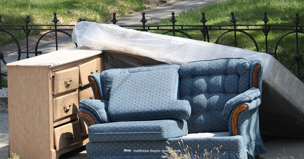 Bed Bug Mattress Disposal Bed Bug Mattress Disposal - Mattress Buyer Guide