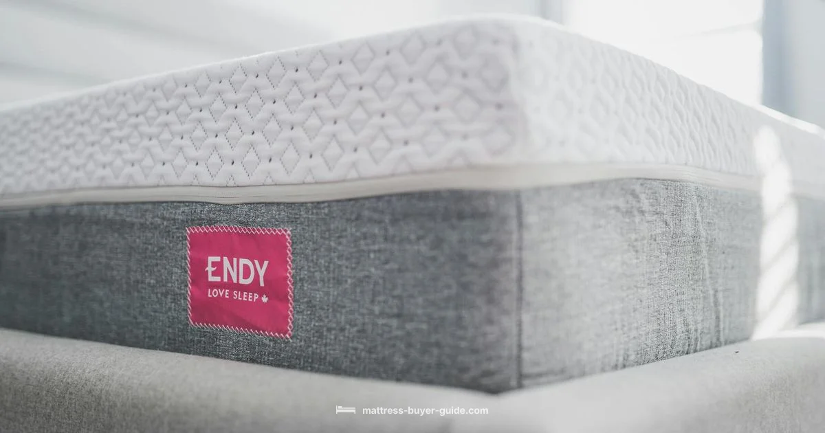 Foundation Guide - Mattress Buyer Guide