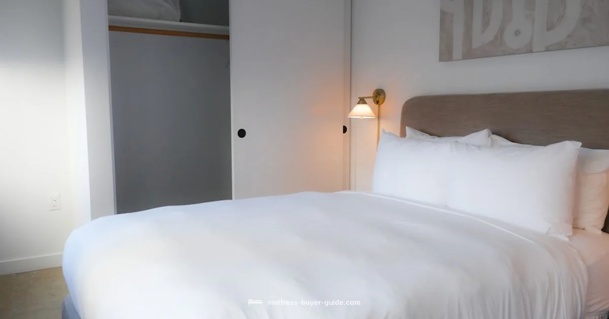 Green vs Avocado - Mattress Buyer Guide