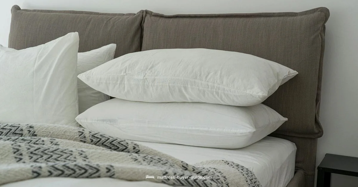 Protect Your Mattress - Mattress Buyer Guide