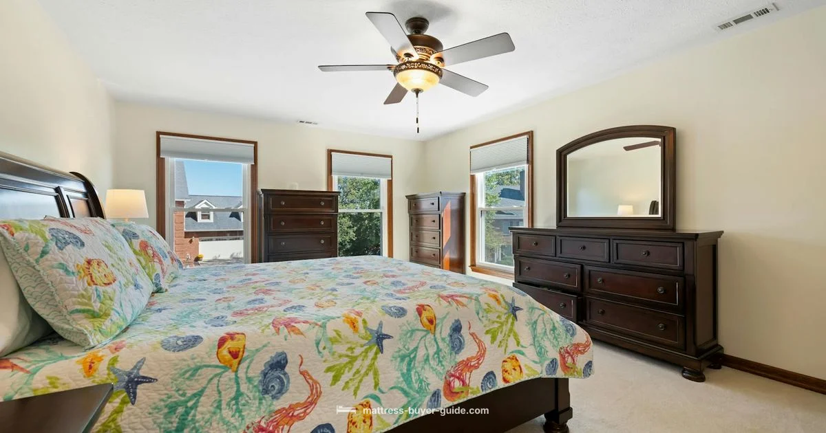 Queen Size Guide - Mattress Buyer Guide