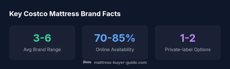 Infographic showing Costco mattress brands availability by region, online availability, and private-label options