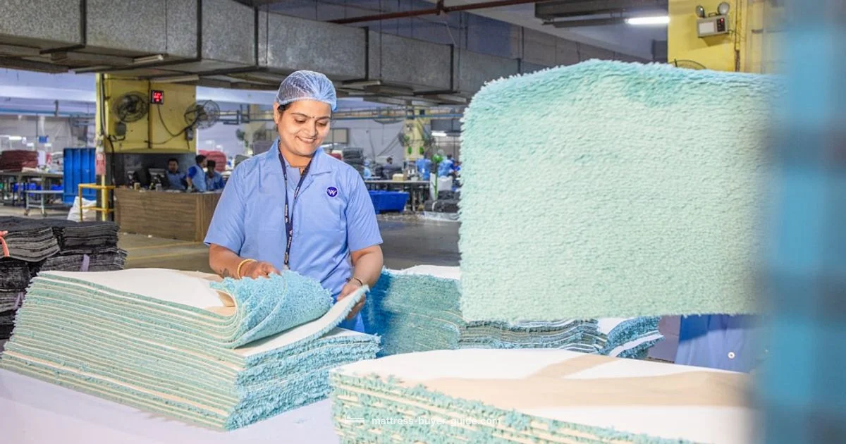 Foam Mattress Making - Mattress Buyer Guide