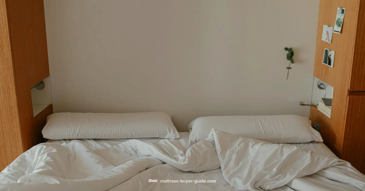 Futon Bed Guide - Mattress Buyer Guide