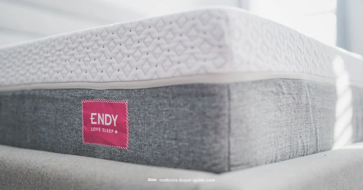 Top 5 Comfort Picks - Mattress Buyer Guide