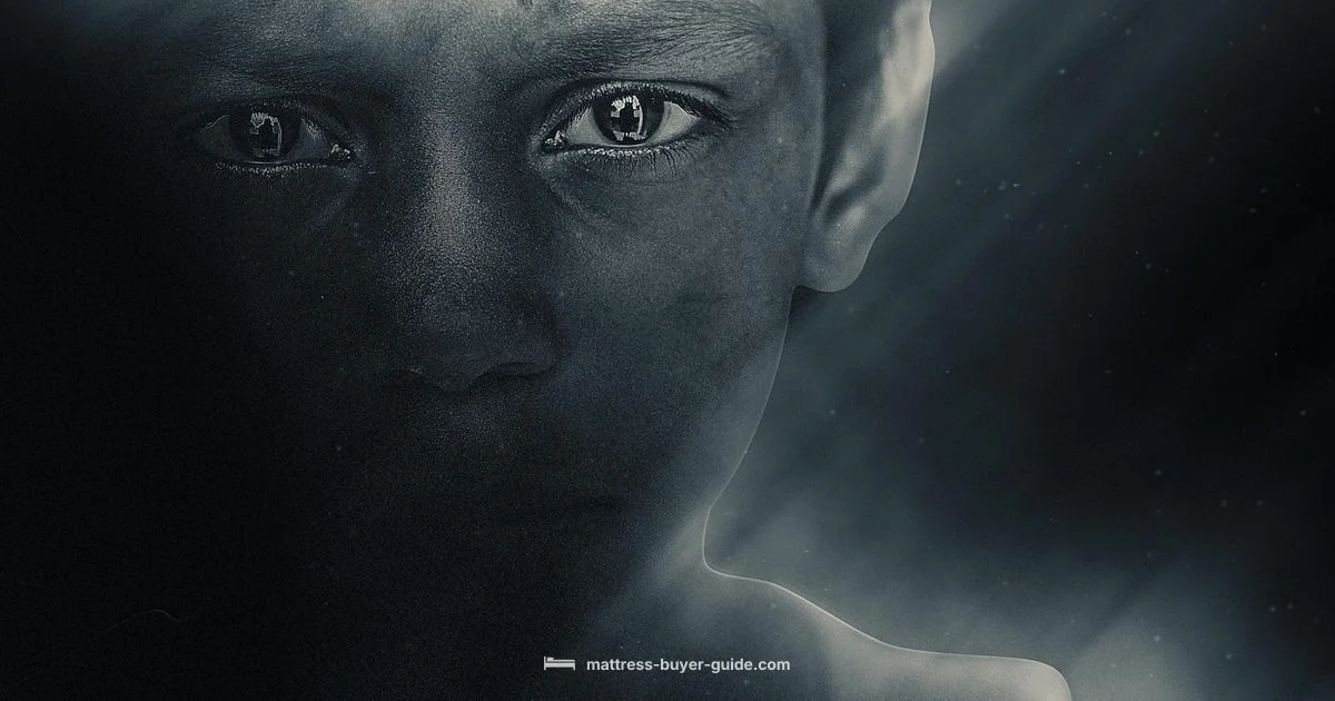 Memory Foam vs Latex - Mattress Buyer Guide