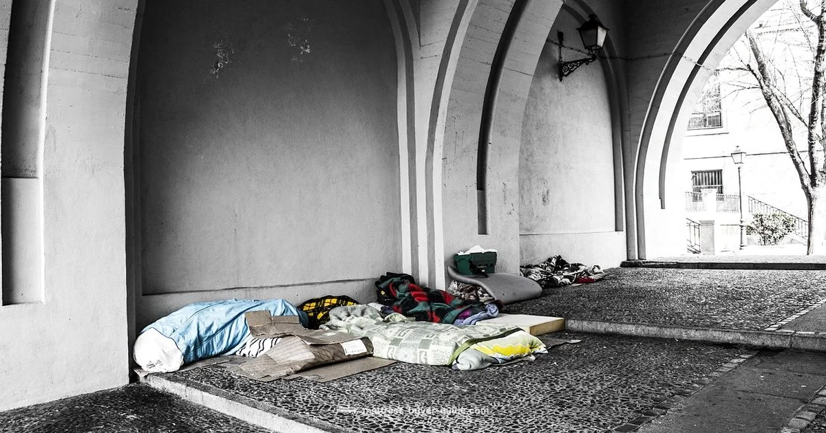 Free Mattress Nearby - Mattress Buyer Guide