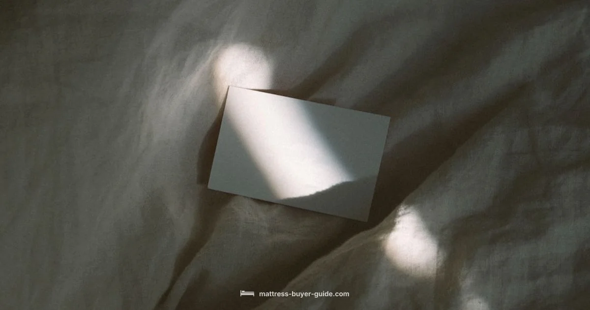 Box Springs Essentials Box Springs Essentials - Mattress Buyer Guide