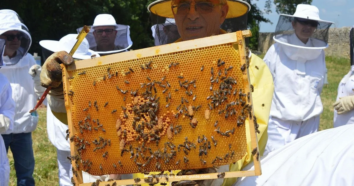 Queen vs Full Queen vs Full - Mattress Buyer Guide