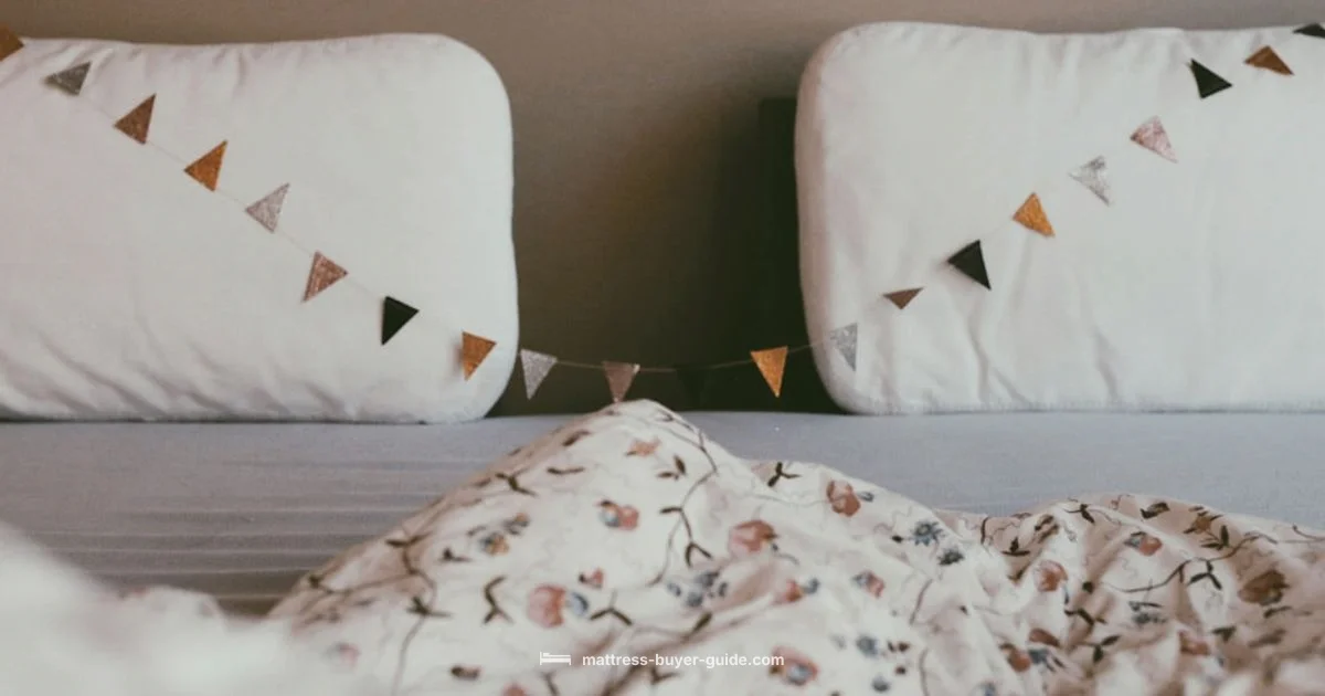 Bed Bug Mattress Guide - Mattress Buyer Guide