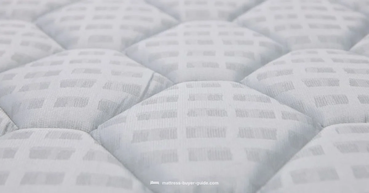 Split King Guide - Mattress Buyer Guide