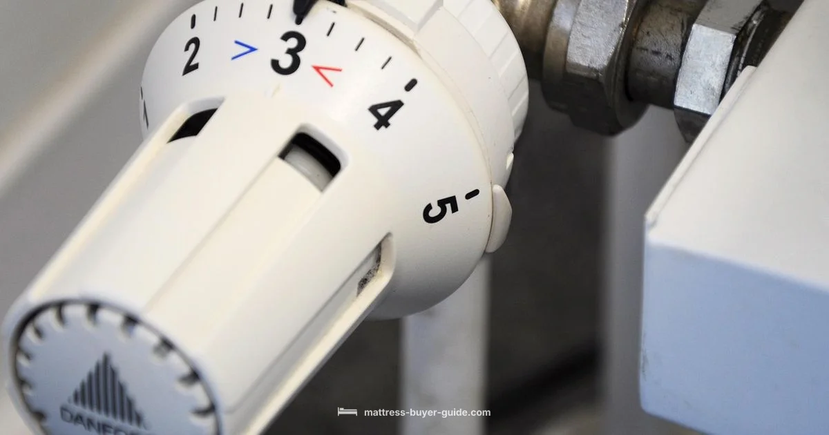 Warm Sleep Comfort Warm Sleep Comfort - Mattress Buyer Guide