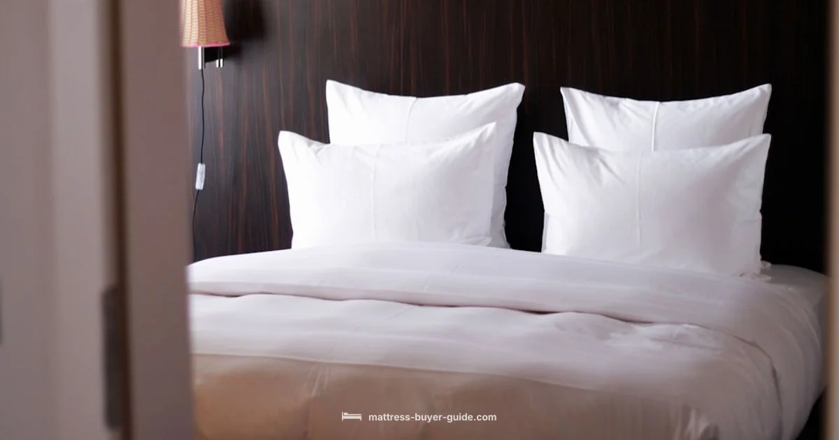 Pocket Spring vs Foam - Mattress Buyer Guide