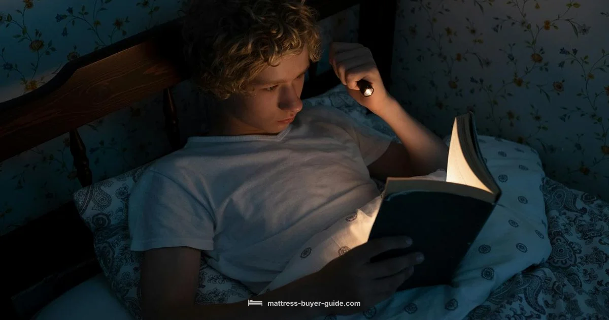 Bed Bug Evidence - Mattress Buyer Guide