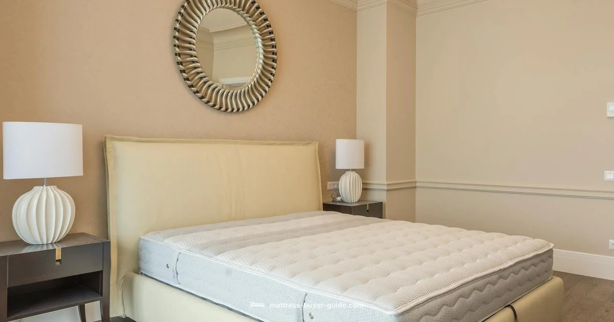 Premium Price Reality - Mattress Buyer Guide