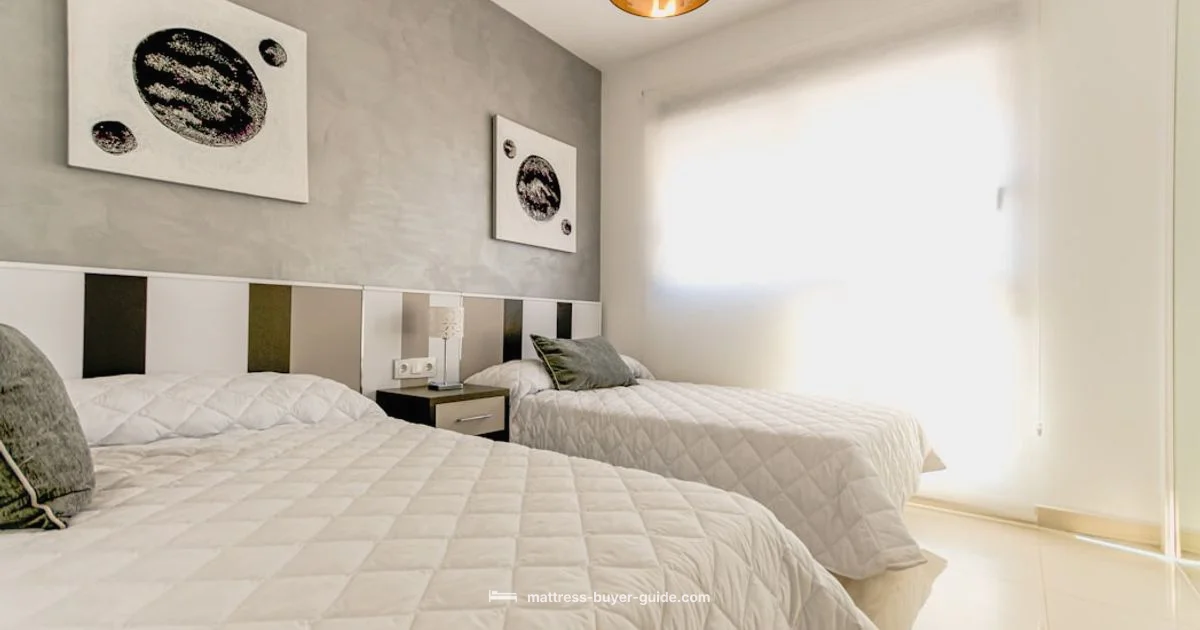 Coil vs Spring Coil vs Spring - Mattress Buyer Guide