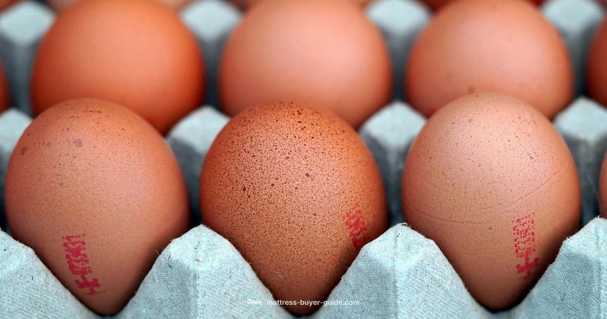 Egg Crate Topper - Mattress Buyer Guide