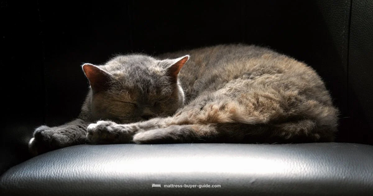 Sleepys Mattress Guide Sleepys Mattress Guide - Mattress Buyer Guide