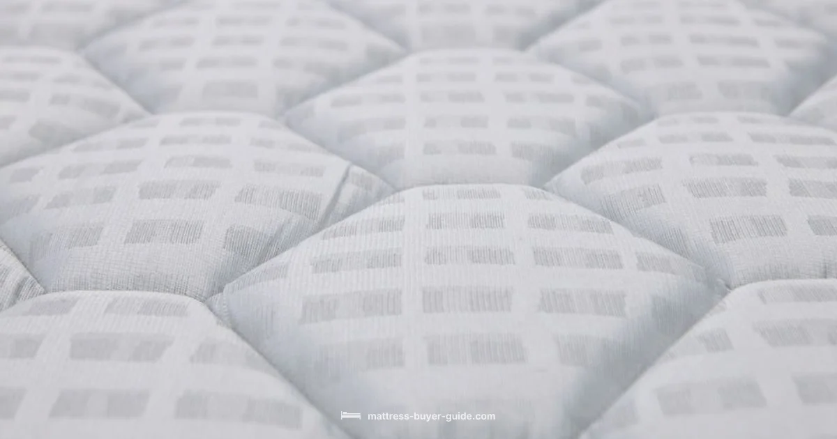 Cozy Sleep Setup - Mattress Buyer Guide