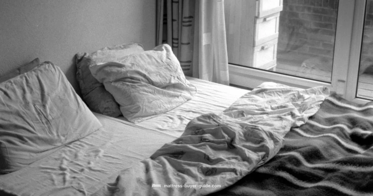 Bed Bugs vs Scabies - Mattress Buyer Guide