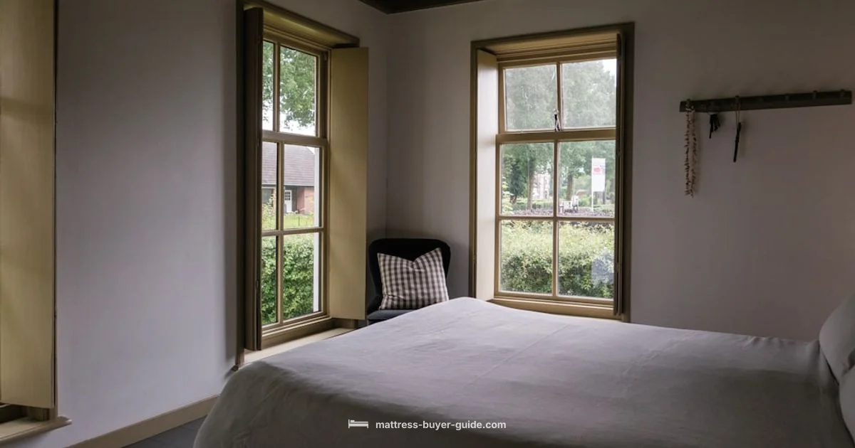 Memory Foam Mattress Guide Memory Foam Mattress Guide - Mattress Buyer Guide