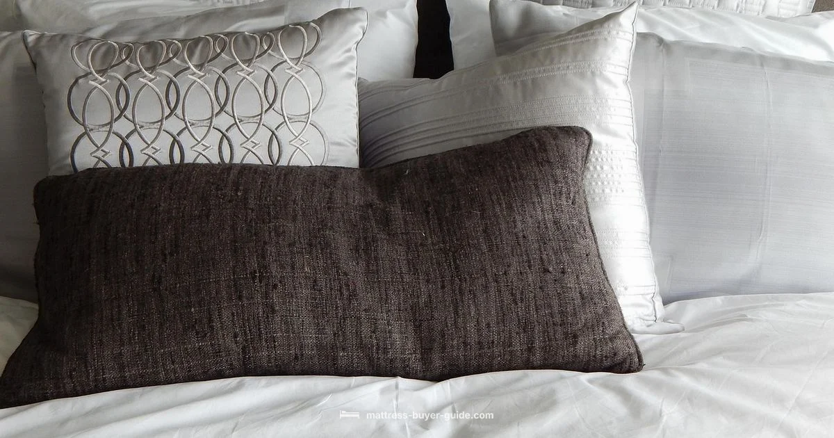 Bed Comfort Bed Comfort - Mattress Buyer Guide