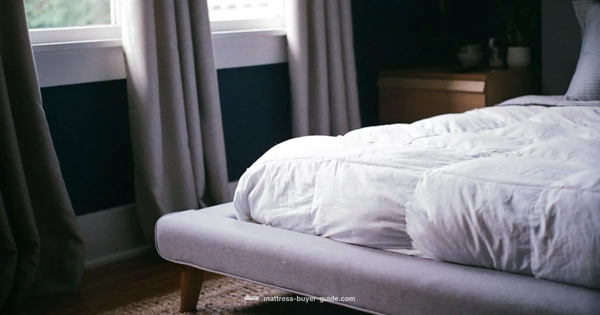 Reclining Mattress Guide Reclining Mattress Guide - Mattress Buyer Guide