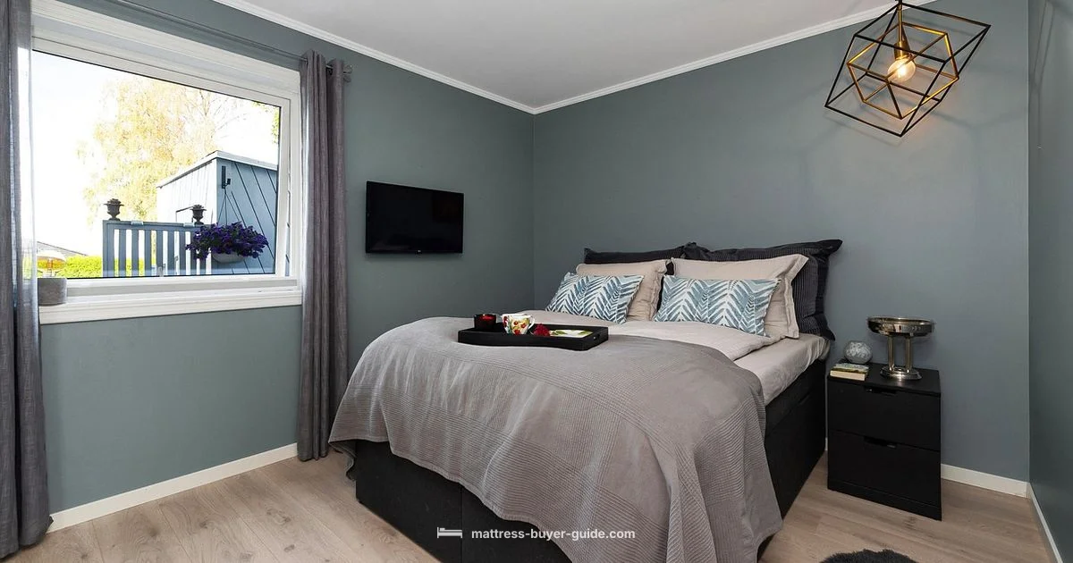 Density Comfort - Mattress Buyer Guide