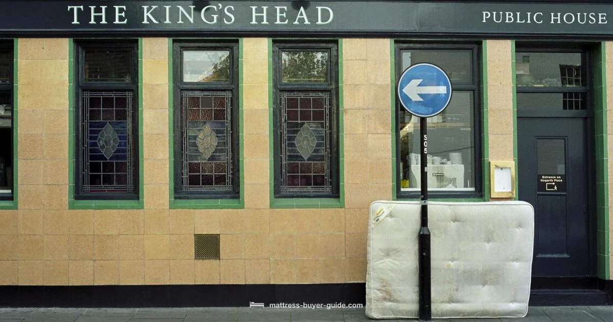 Mattress Firm Ownership Mattress Firm Ownership - Mattress Buyer Guide