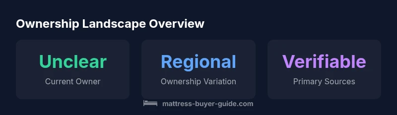 Infographic showing ownership landscape of Mattress Firm