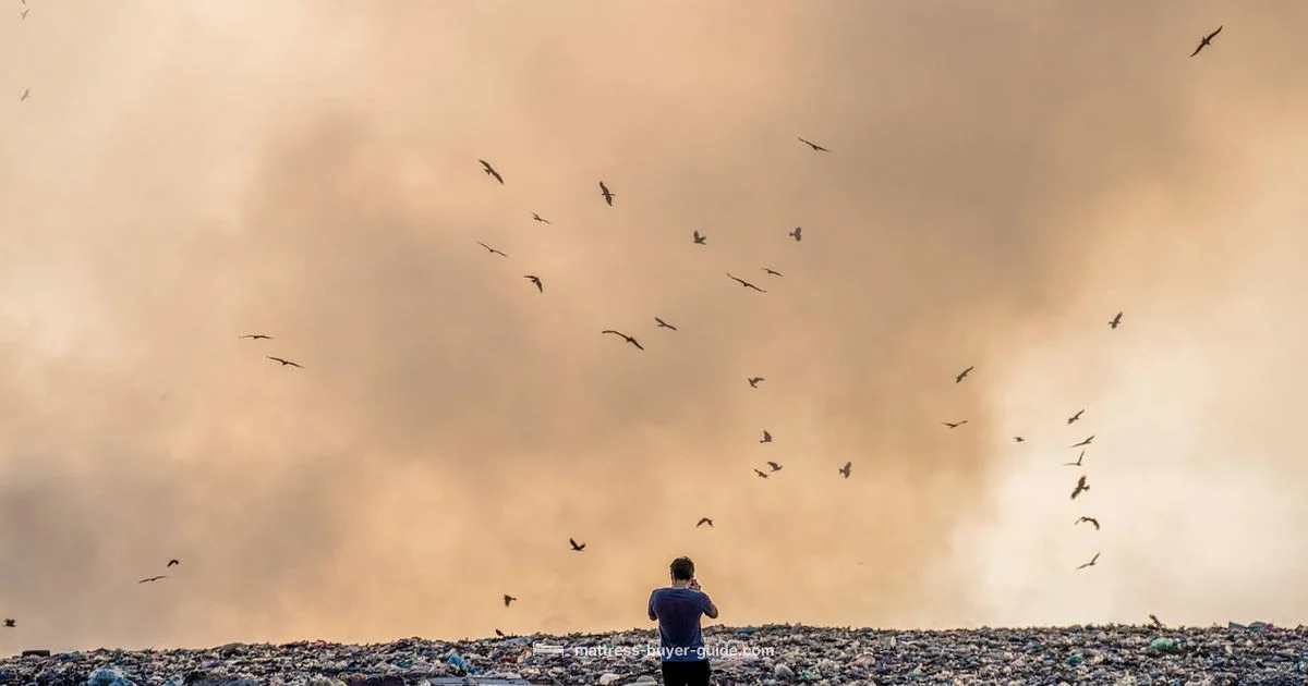 Mattress Disposal - Mattress Buyer Guide