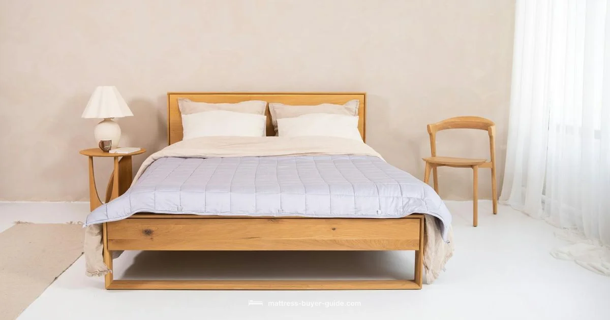 Mattress & Frame Setup Mattress & Frame Setup - Mattress Buyer Guide