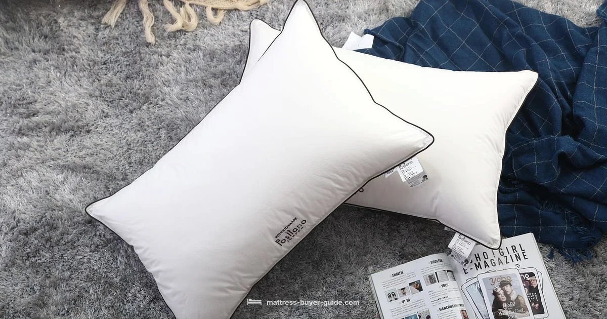 Raise Mattress - Mattress Buyer Guide