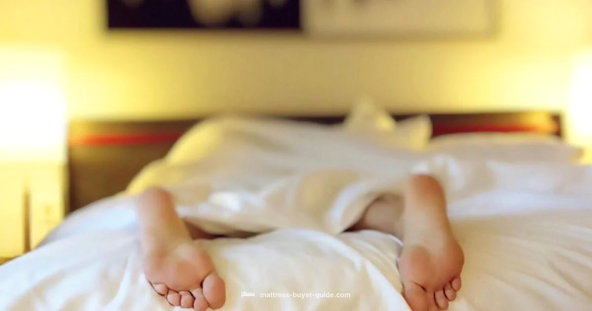 Best Innerspring Guide Best Innerspring Guide - Mattress Buyer Guide