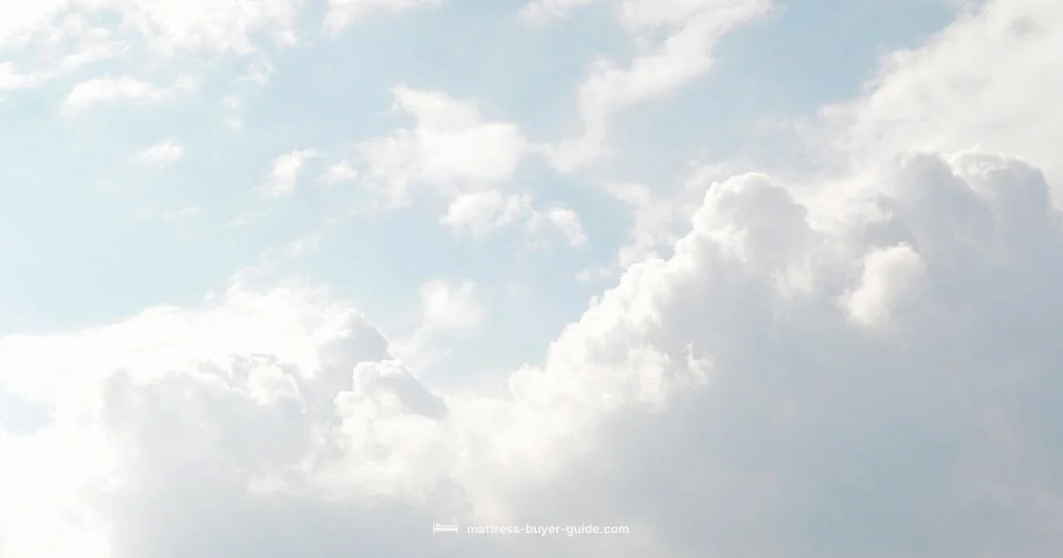 Cloudlike Comfort Cloudlike Comfort - Mattress Buyer Guide