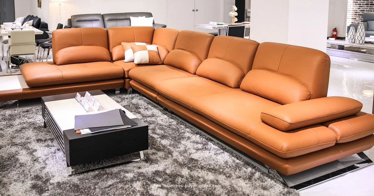 Sofa Bed Comfort - Mattress Buyer Guide