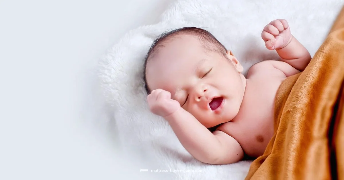 Pack N Play Mattress Pack N Play Mattress - Mattress Buyer Guide