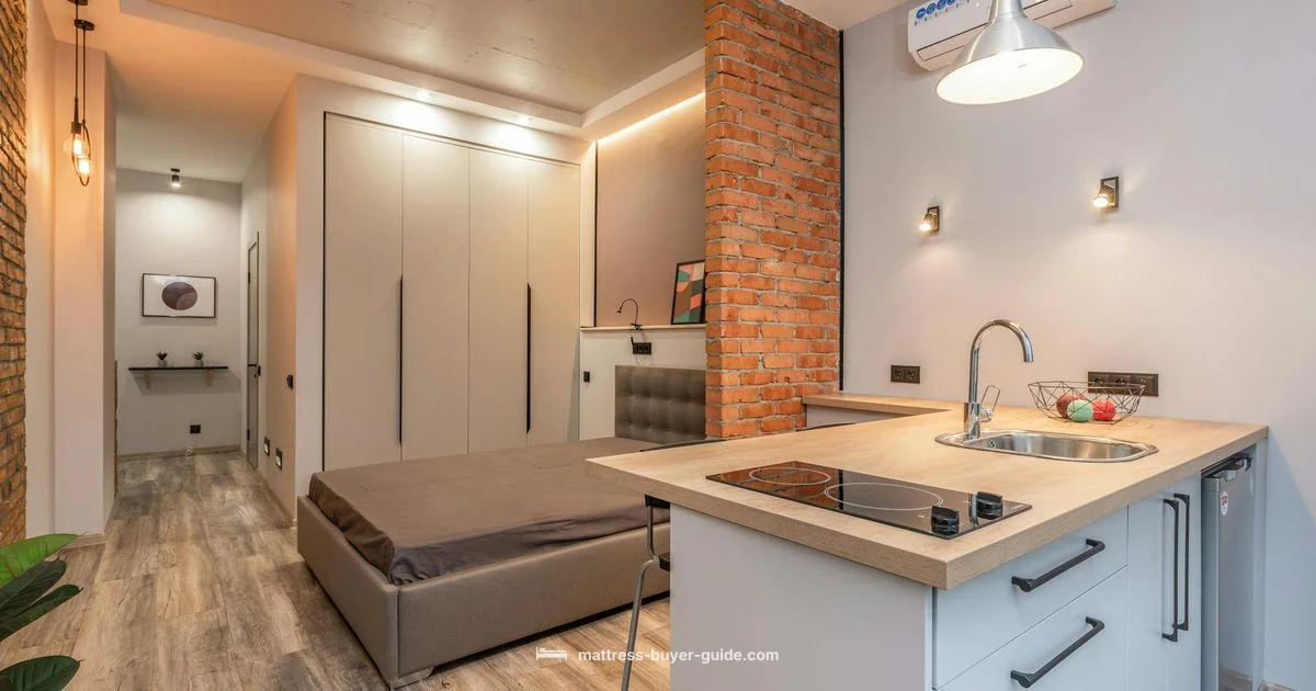 Zonli Futon Review - Mattress Buyer Guide