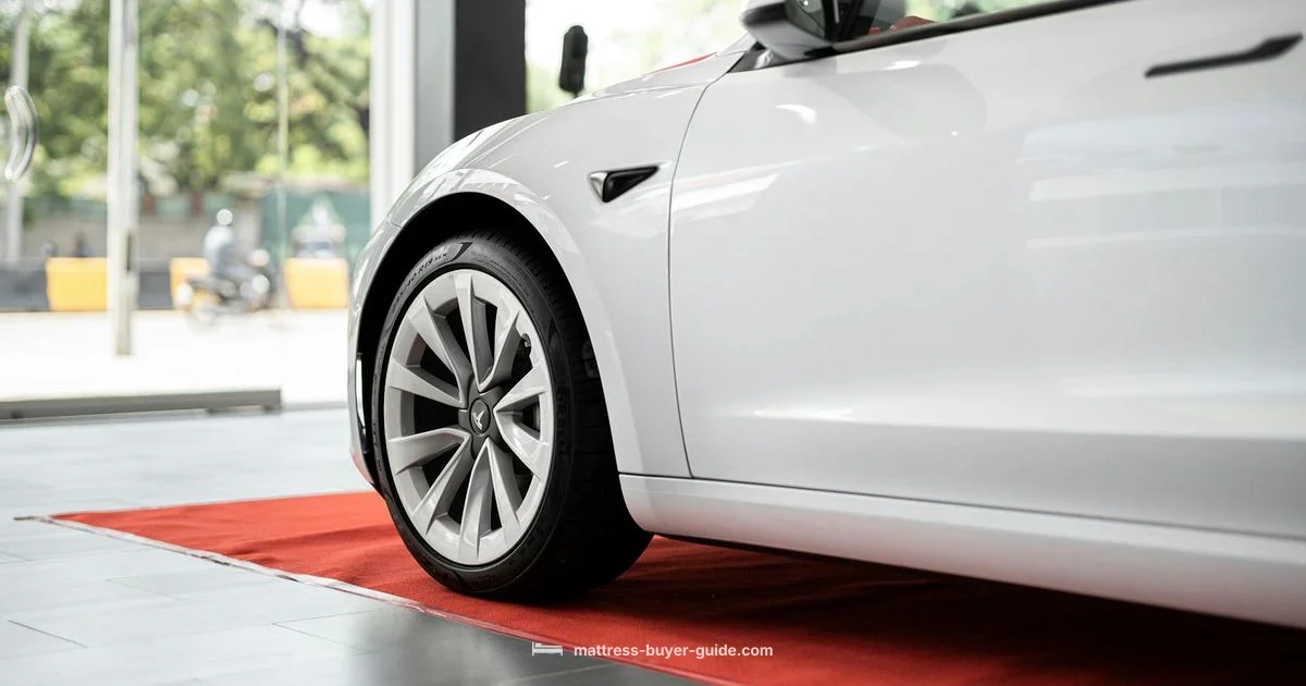 Water Mattress Guide - Mattress Buyer Guide