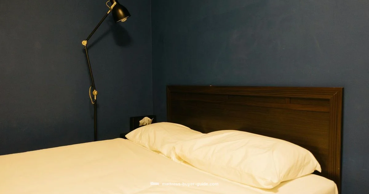 Sleep Number Topper Guide Sleep Number Topper Guide - Mattress Buyer Guide