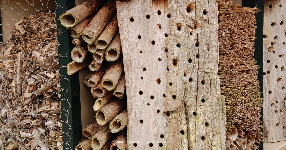 Bed Bug Spread Bed Bug Spread - Mattress Buyer Guide