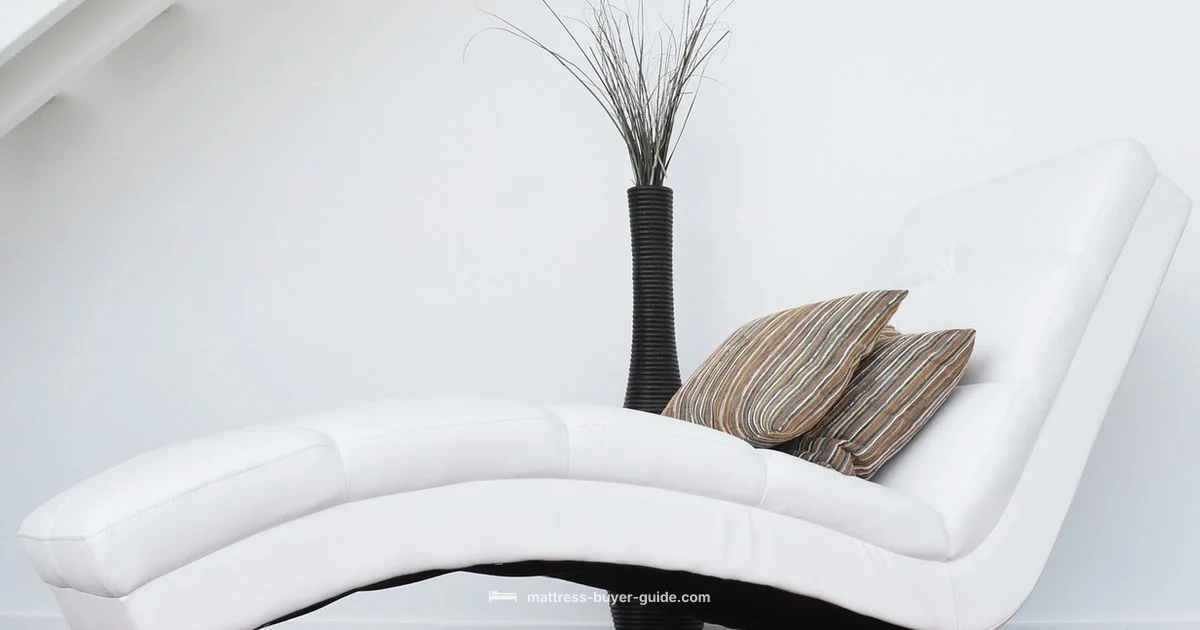 Professional Cleaning Mattress Professional Cleaning Mattress - Mattress Buyer Guide