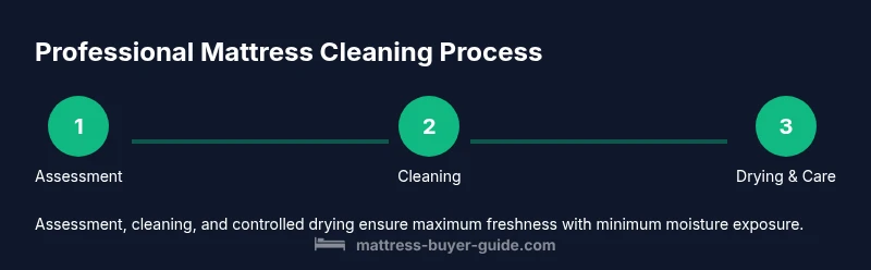 Three-step infographic showing assessment, cleaning, drying.