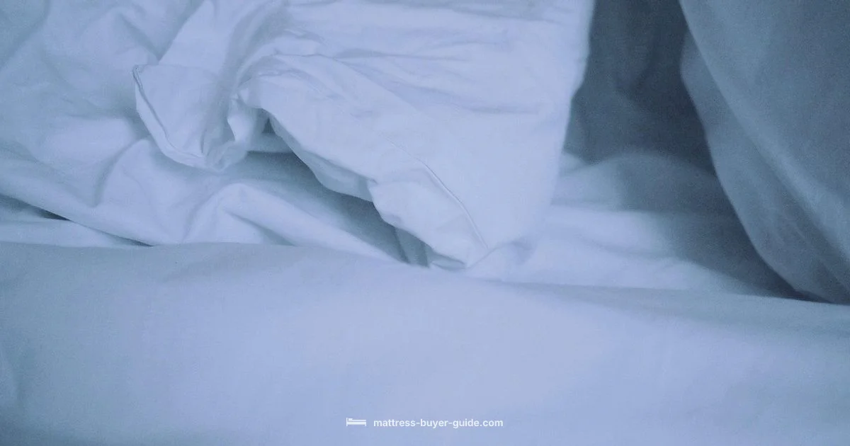 Mattress Cover Setup - Mattress Buyer Guide