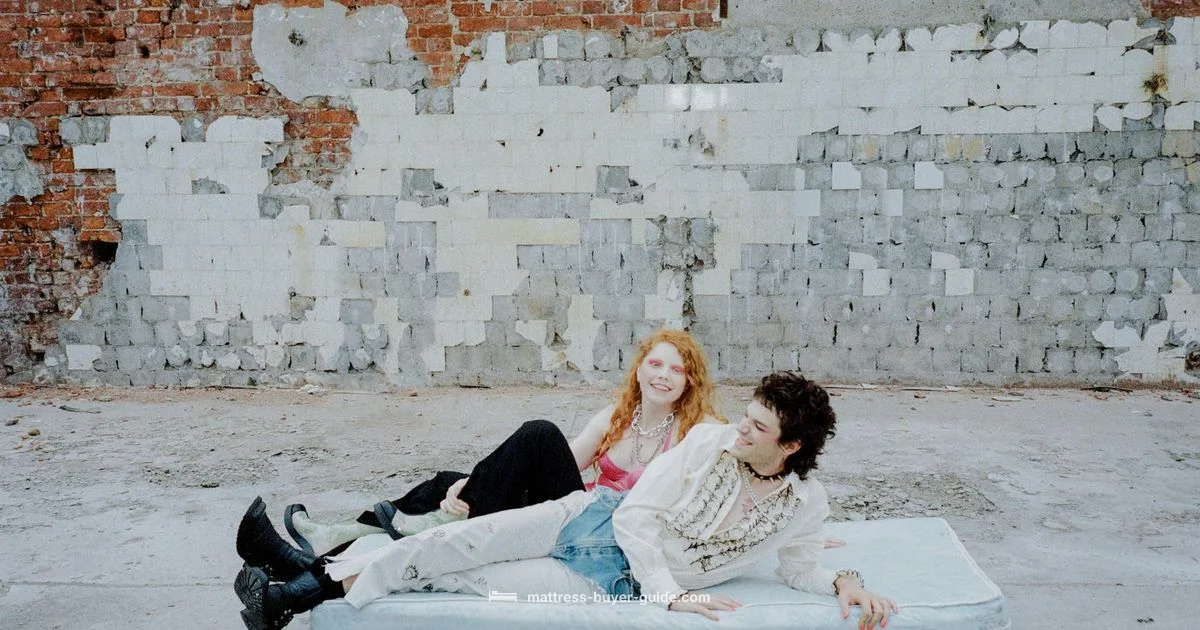 Plush Back Health Plush Back Health - Mattress Buyer Guide