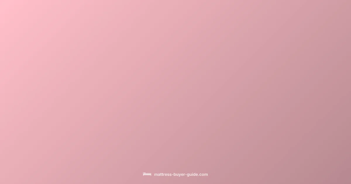 Box Spring Guide - Mattress Buyer Guide (illustration)