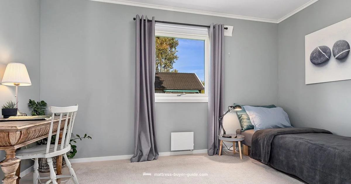 Zinus Bed Frame Guide - Mattress Buyer Guide