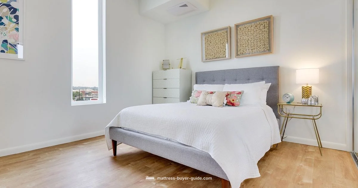 Mattress Day Guide - Mattress Buyer Guide