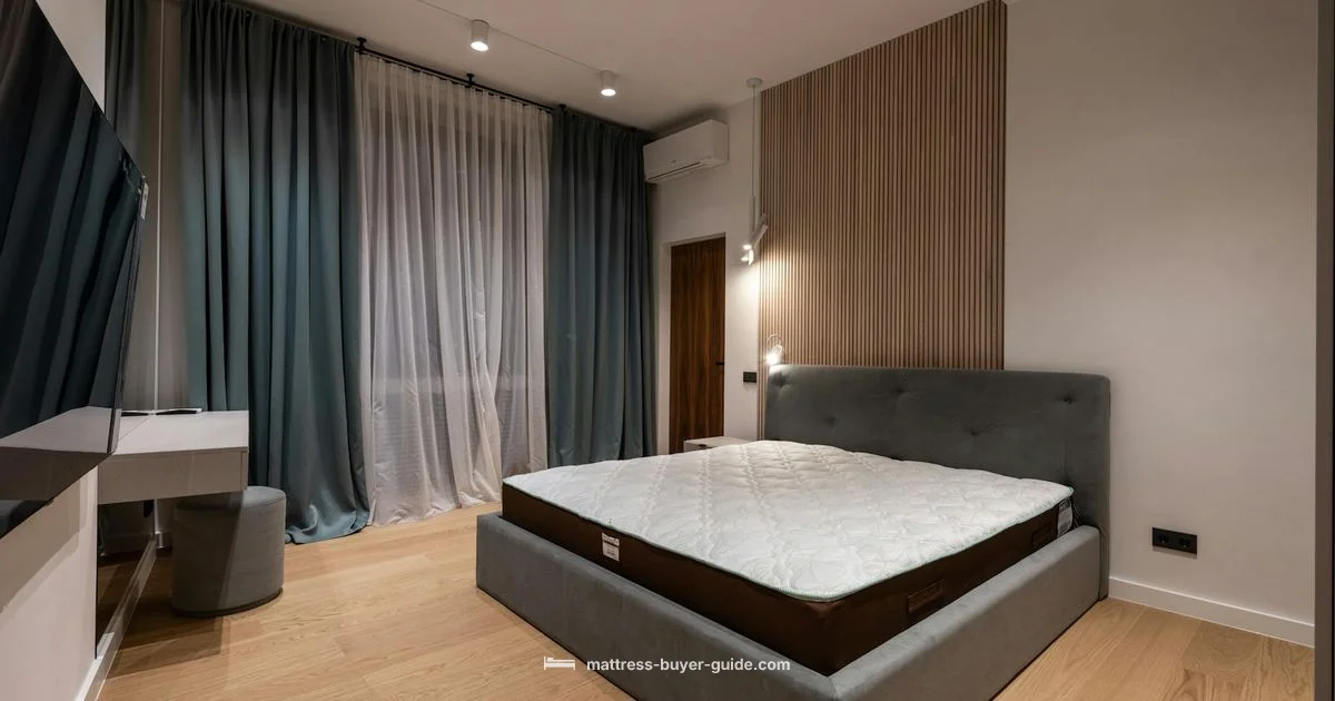 Celebrity Sleep Gear - Mattress Buyer Guide