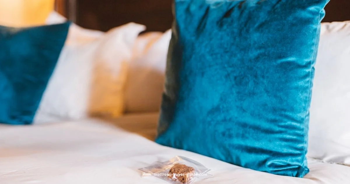 Plastic Mattress Cover - Mattress Buyer Guide